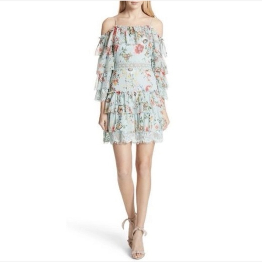 Alice + Olivia Floral Ruffle Dress